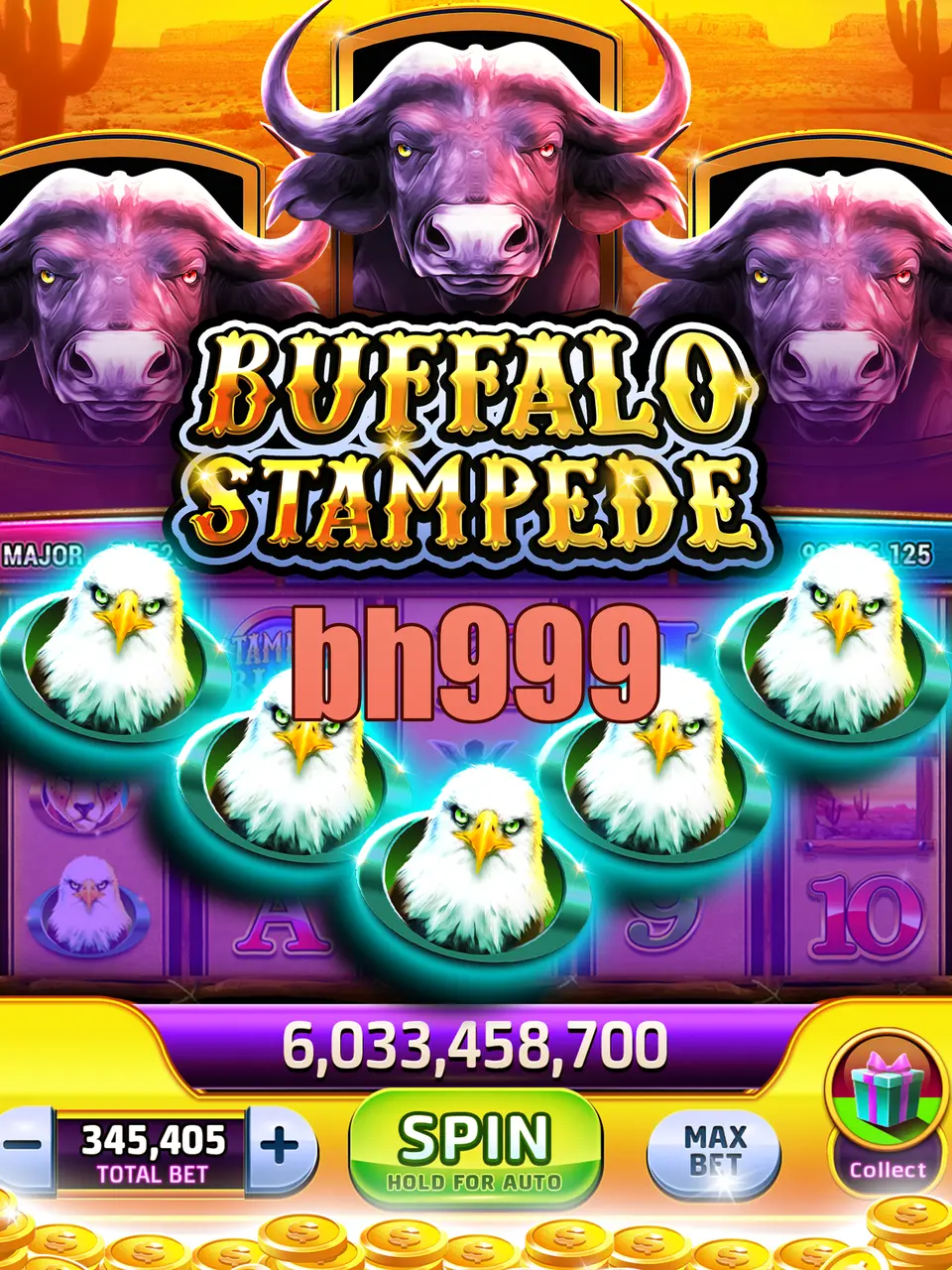 bh999 লগইন